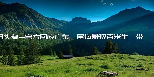 今日头条-官方回应广东汕尾海滩现百米生蚝带 随心所欲开启生蚝自助？